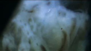 BBC - Голубая планета 5