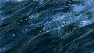 BBC - Голубая планета 6