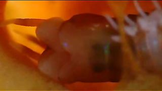 BBC - Голубая планета 6