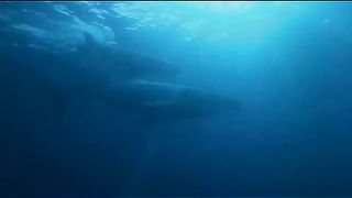 BBC - Голубая планета 6