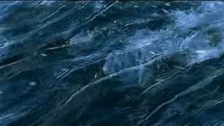 BBC - Голубая планета 7