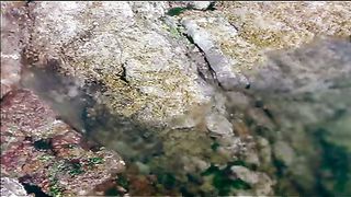 BBC - Голубая планета 7