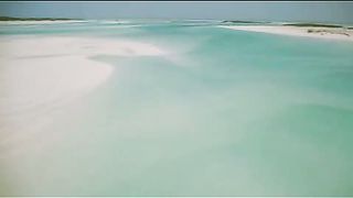 BBC - Голубая планета 7