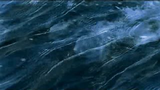 BBC - Голубая планета 9