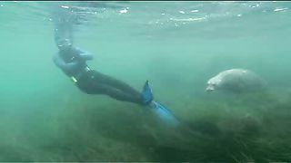 BBC - Голубая планета 9