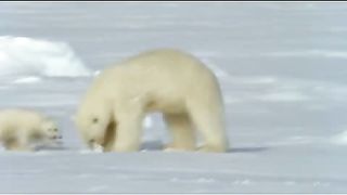 BBC - Голубая планета 9