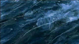 BBC - Голубая планета 10