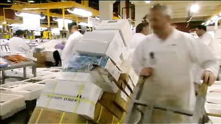 BBC - Голубая планета 10