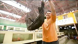 BBC - Голубая планета 10