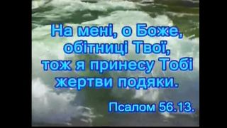 Не плач душа, что скорби окружают