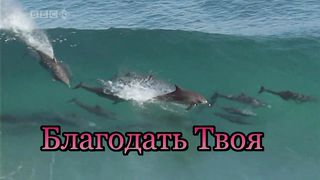 Твою Благодать не могу я понять