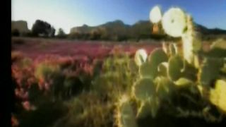 Среди невзгод, сомненья и ненастья 2