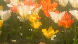 ЛЮБОВ ХРИСТА Збірка християнських кліпів