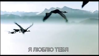 ЛЮБОВ ХРИСТА Збірка християнських кліпів