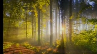 ЛЮБИЙ ОТЧЕ Марія Русанова 92 роки