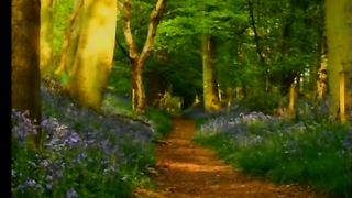 ЛЮБИЙ ОТЧЕ Марія Русанова 92 роки