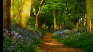 ЛЮБИЙ ОТЧЕ Марія Русанова 92 роки