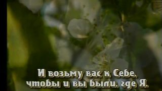 ЖИЗНЬ С БОГОМ Пение птиц