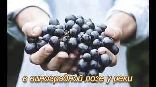 МІЙ БОГ РЕАЛЬНИЙ Збірка християнських пісень