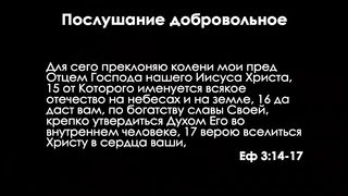 Алексей Коломийцев - Пастырь, послушный Отцу