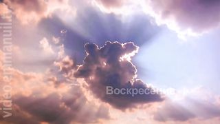 А было ли воскресение? 8 - Галлюцинации?