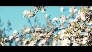 Если нет воскресения!