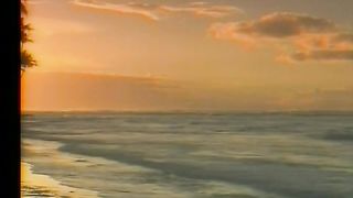 Жизнь посвящаю Тебе, И отдаюсь я в мольбе