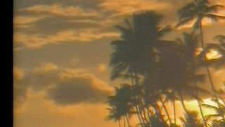 Жизнь посвящаю Тебе, И отдаюсь я в мольбе