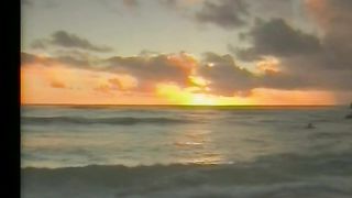 Жизнь посвящаю Тебе, И отдаюсь я в мольбе