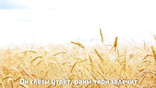 Он слёзы утрет