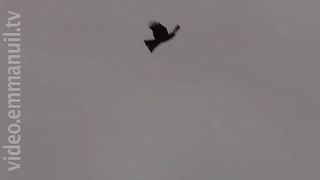 Руанда: Живое прощение