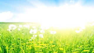 ОСТАНОВИТЕСЬ ЛЮДИ Сборник христианских клипов