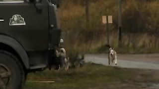 Образ зверя 3