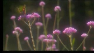 ИИСУСА ДЕРЖИСЬ Сборник христианских клипов