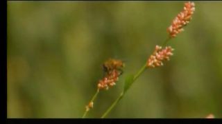 ИИСУСА ДЕРЖИСЬ Сборник христианских клипов