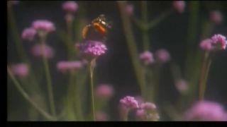 ИИСУСА ДЕРЖИСЬ Сборник христианских клипов