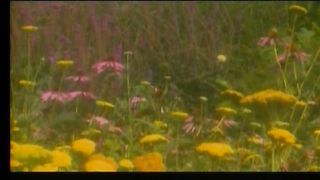 ИИСУСА ДЕРЖИСЬ Сборник христианских клипов