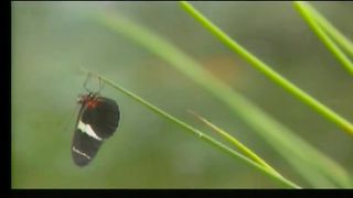 ИИСУСА ДЕРЖИСЬ Сборник христианских клипов