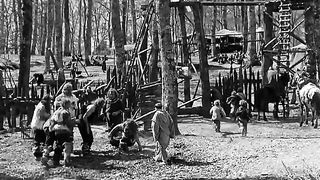 Франциск, шут Божий (1950)