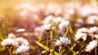 ИДУ К ТЕБЕ С ПОВИННОЙ Сборник духовных клипов