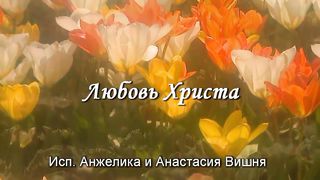 Анжелика Вишня - Любовь Христа