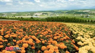 Поклоняюсь (Караоке)