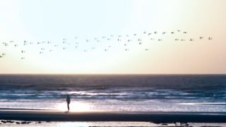 Дарина Кочанжи - Саваоф (Караоке)