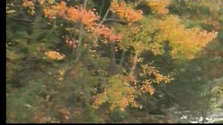 ПРИДИ КО МНЕ Музыкальный видео клип