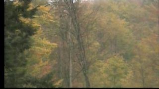 ПРИДИ КО МНЕ Музыкальный видео клип