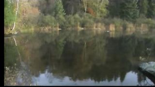 ПРИДИ КО МНЕ Музыкальный видео клип