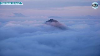 Сын Бога - Стихи из Библии