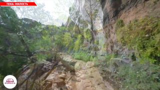 Стихи из Библии - Милость