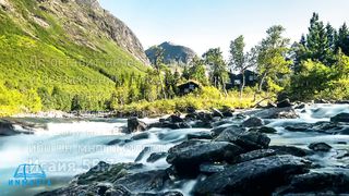 Стихи из Библии - Прощение