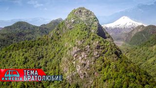 Стихи из Библии - Братолюбие